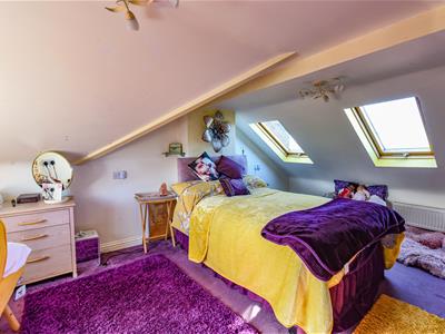 Picture 15